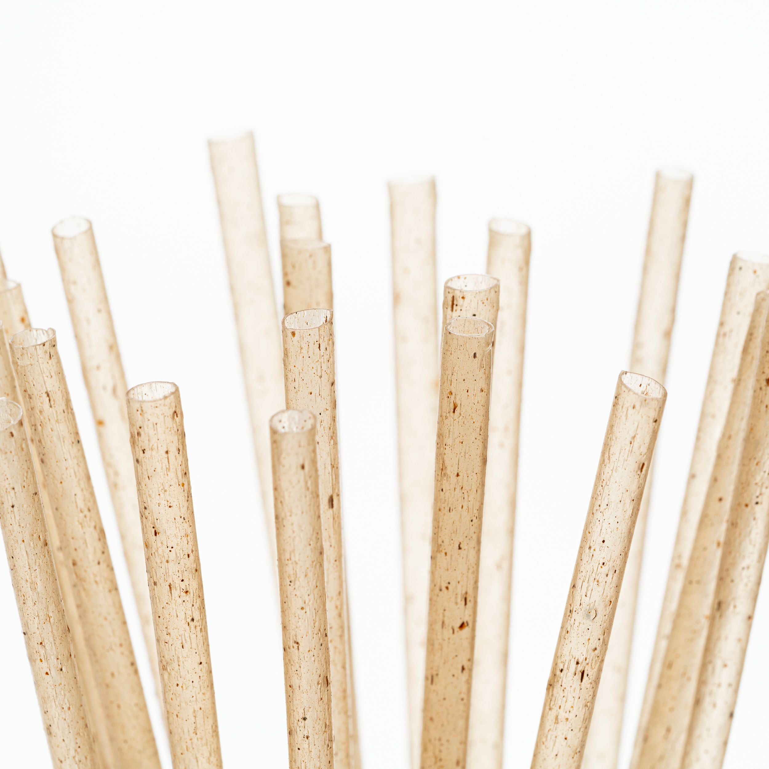 Standard 8.25 in - Natural Agave - Drinking Straw